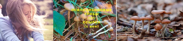 кристаллы Алзамай