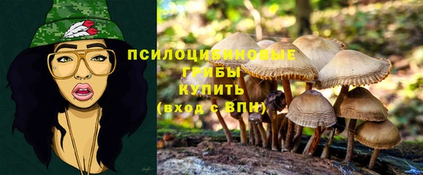 прущая мука Абинск